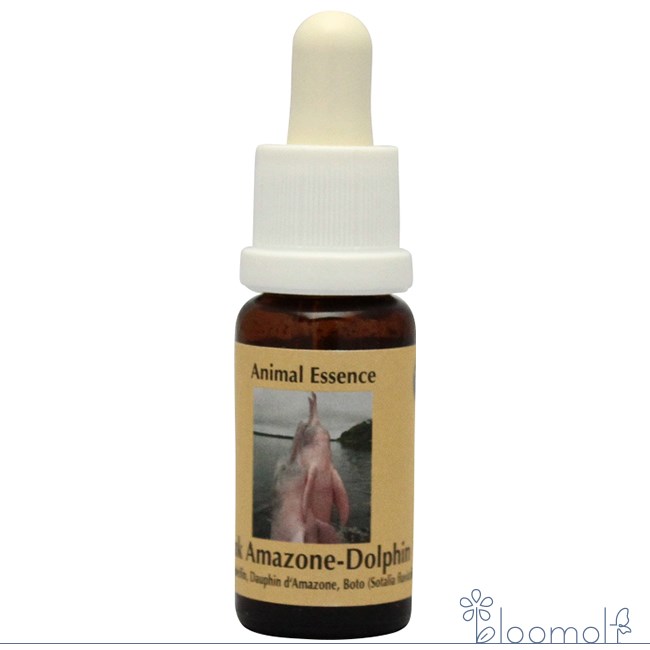 楽天市場】グリーンエッセンス オーストラリアンブッシュ シングル