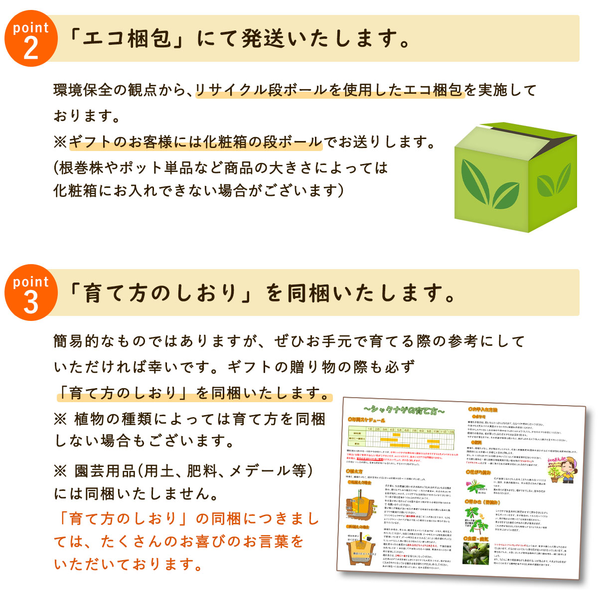 楽天市場】【 商品画像はイメージです 】プンゲンストウヒ