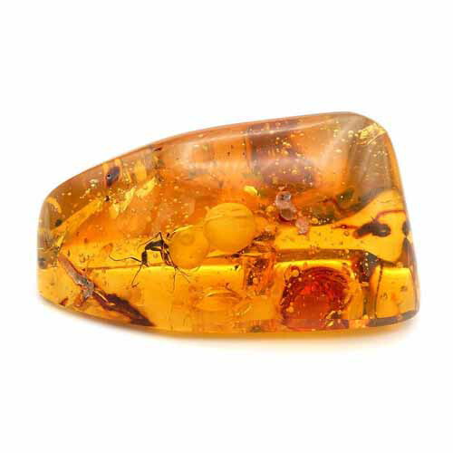 楽天市場】【動画あり】化石 虫入り琥珀原石 ルース 大蟻らしき虫 蜘蛛