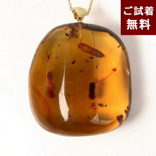 楽天市場】＼3月3日まで臨時休業中／化石 虫入り琥珀 ペンダントトップ