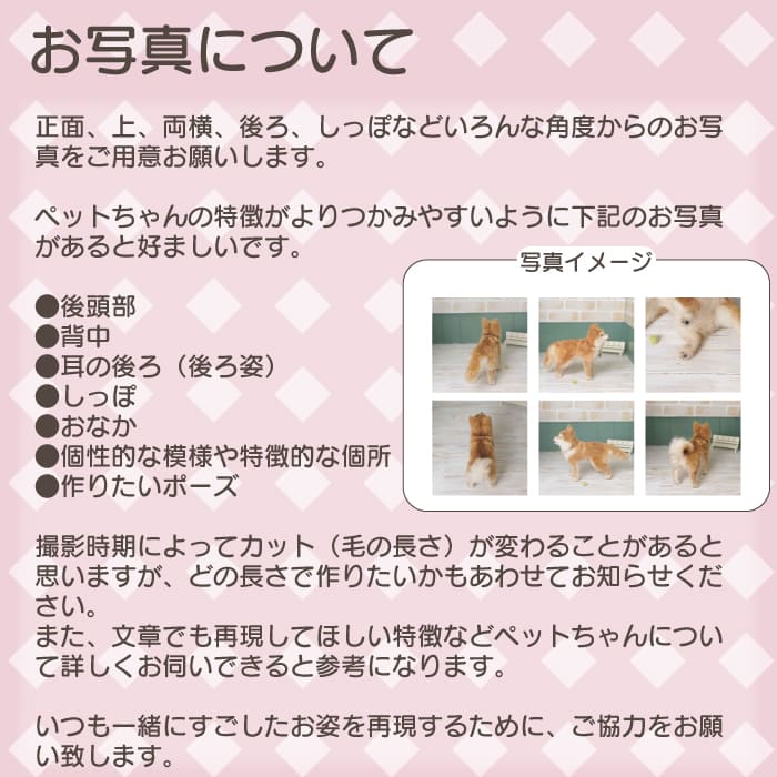 楽天市場】【プレゼント付き】羊毛フェルト うちの子フェルト 【お渡し