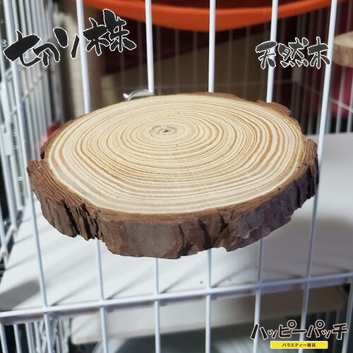 楽天市場】木の切り株の通販