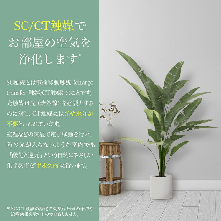 楽天市場】フェイクグリーン ドウダンツツジ 観葉植物 フェイク 人工