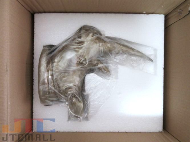 楽天市場】シルバーゴールド 壁掛け サイ オブジェ 剥製 インテリア