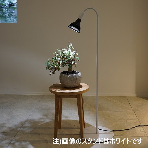 楽天市場】BARREL(バレル) 専用ライトスタンド BA-ST184-BK