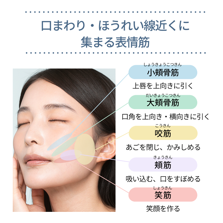 楽天市場】ライオン inqutoインキュット口内美顔器VRインナーリフト