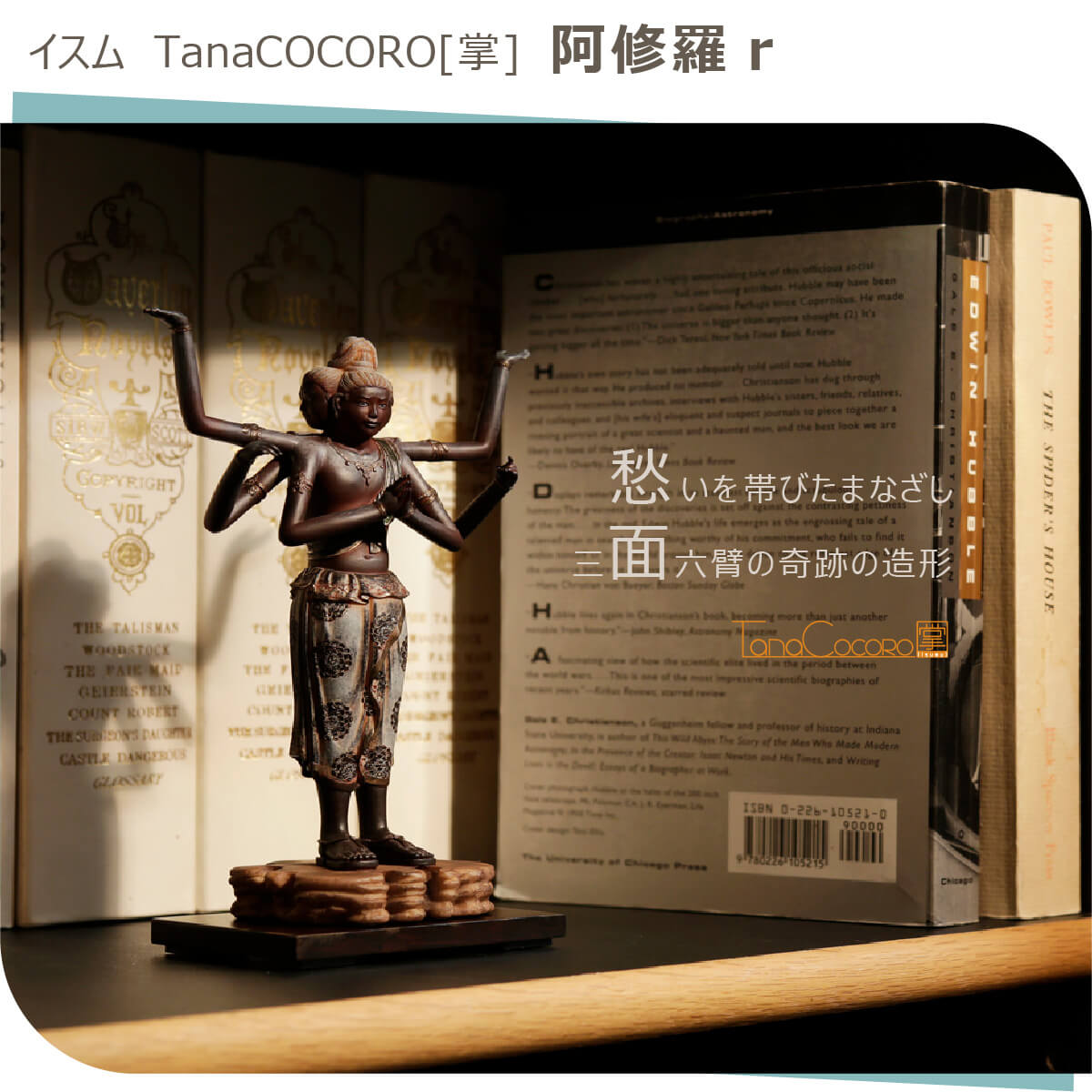 楽天市場】【即納！安心のメーカー直営、直送】 TanaCOCORO[掌