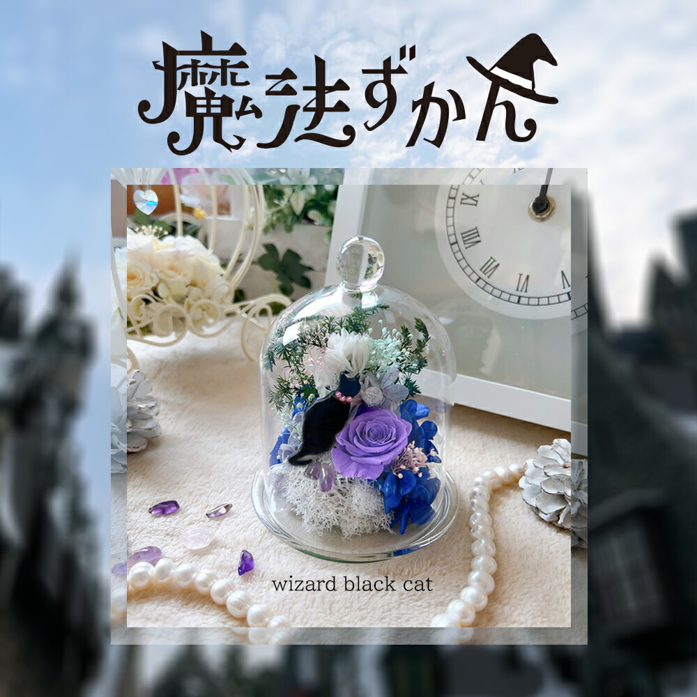 楽天市場】新作「魔法ずかん」魔法使いの黒ねこ 誕生日 結婚祝い