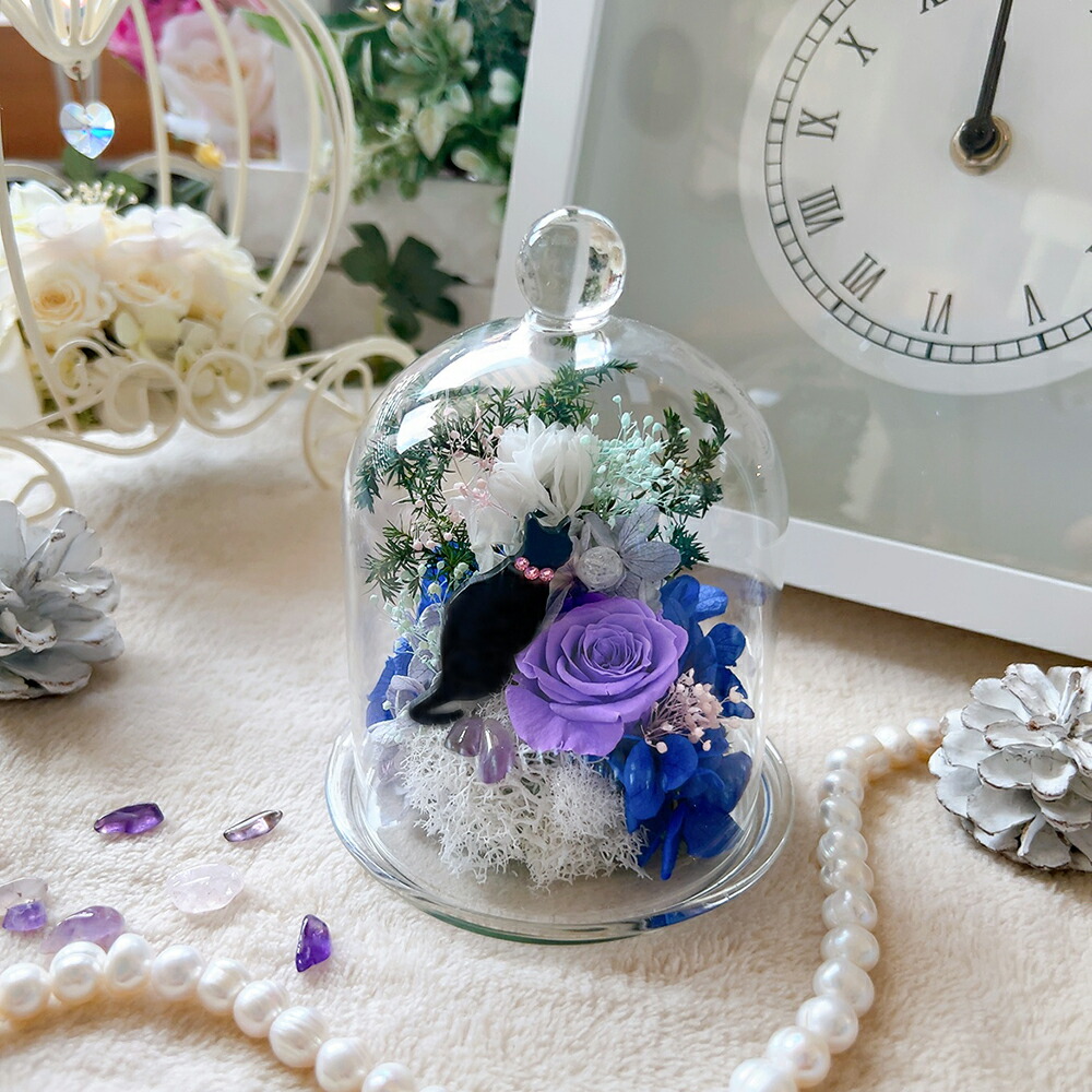 楽天市場】新作「魔法ずかん」魔法使いの黒ねこ 誕生日 結婚祝い