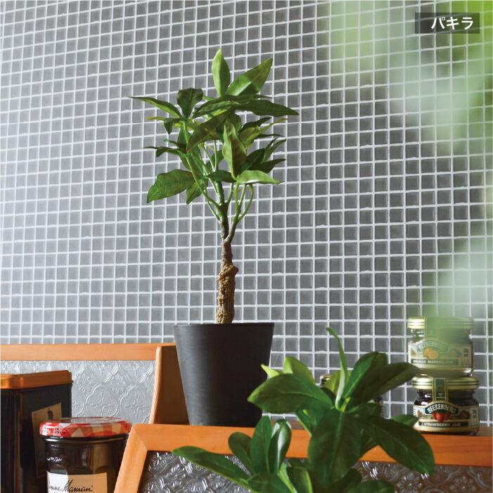 楽天市場】＼ギフト対応／ 抗菌 消臭 インテリアグリーン / ［ブラック