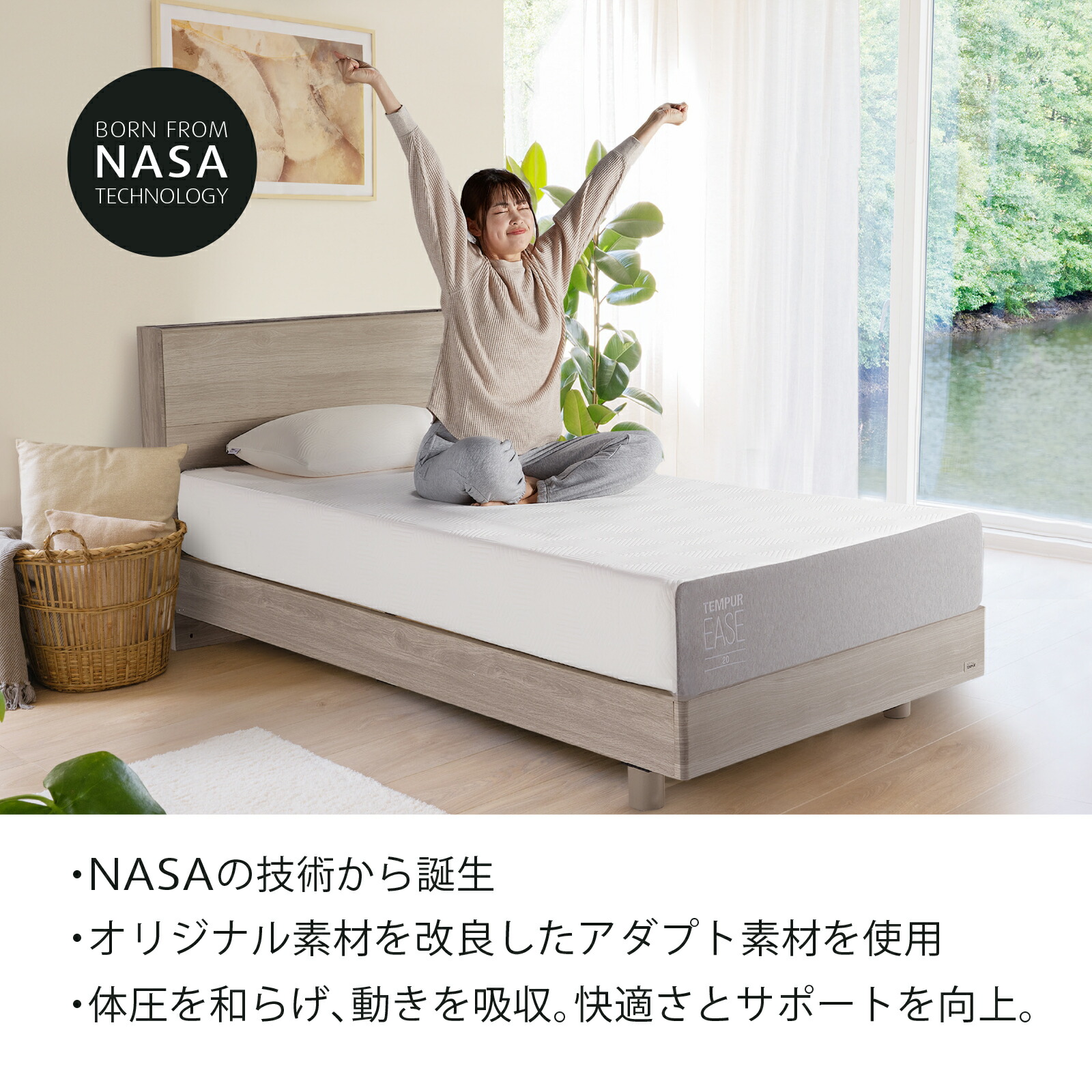 楽天市場】【公式限定】【送料無料】【家内設置込み】テンピュール