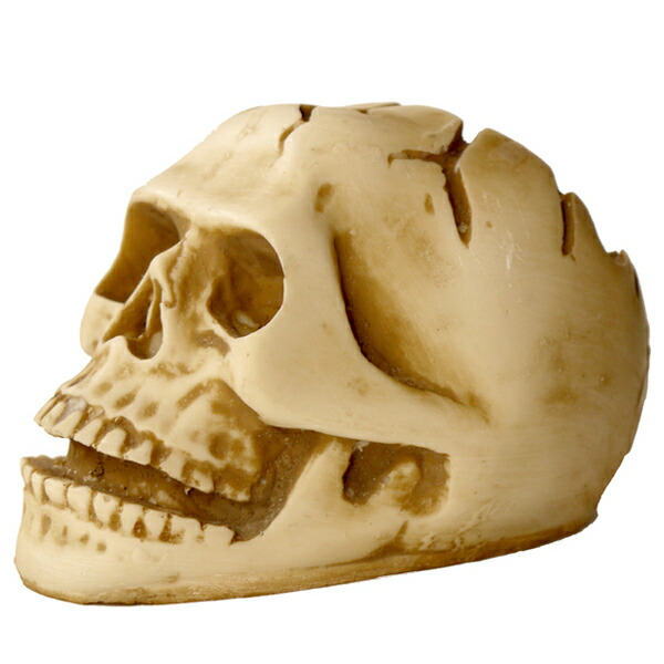 楽天市場】スカルアッシュトレイ 灰皿 Rigel（リゲル） : オートパーツ