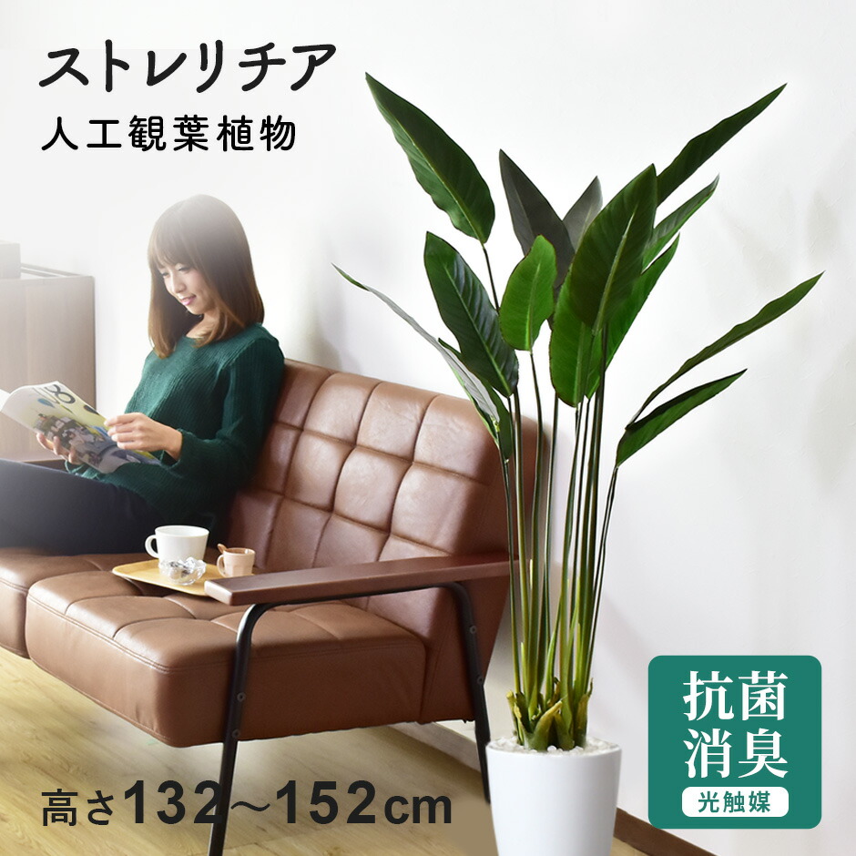 楽天市場】【クーポン20%off 2/25 00時〜24時】 人工観葉植物 フェイク