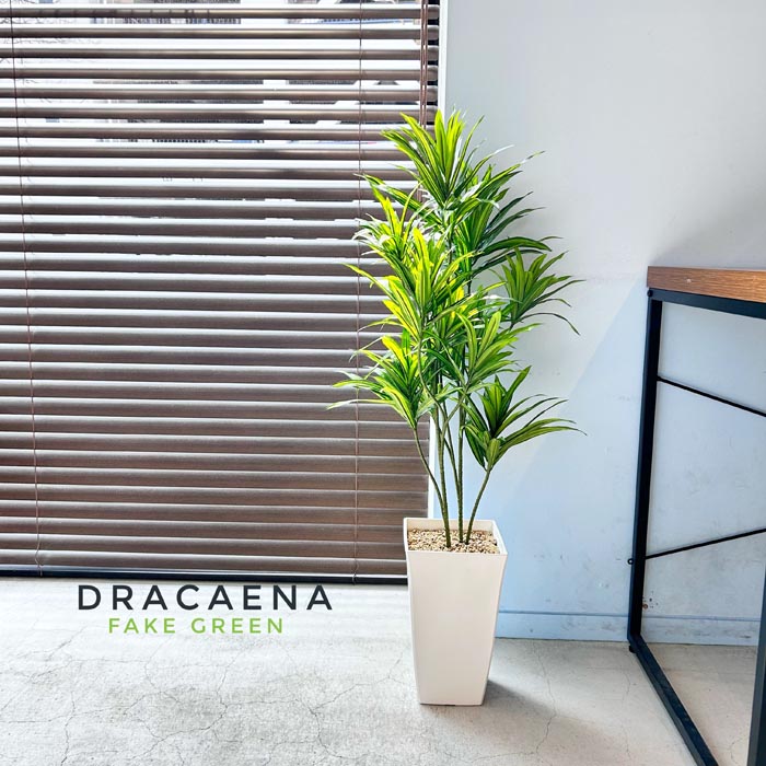 楽天市場】フェイクグリーン ドラセナ 大型 鉢色選択 人工観葉植物