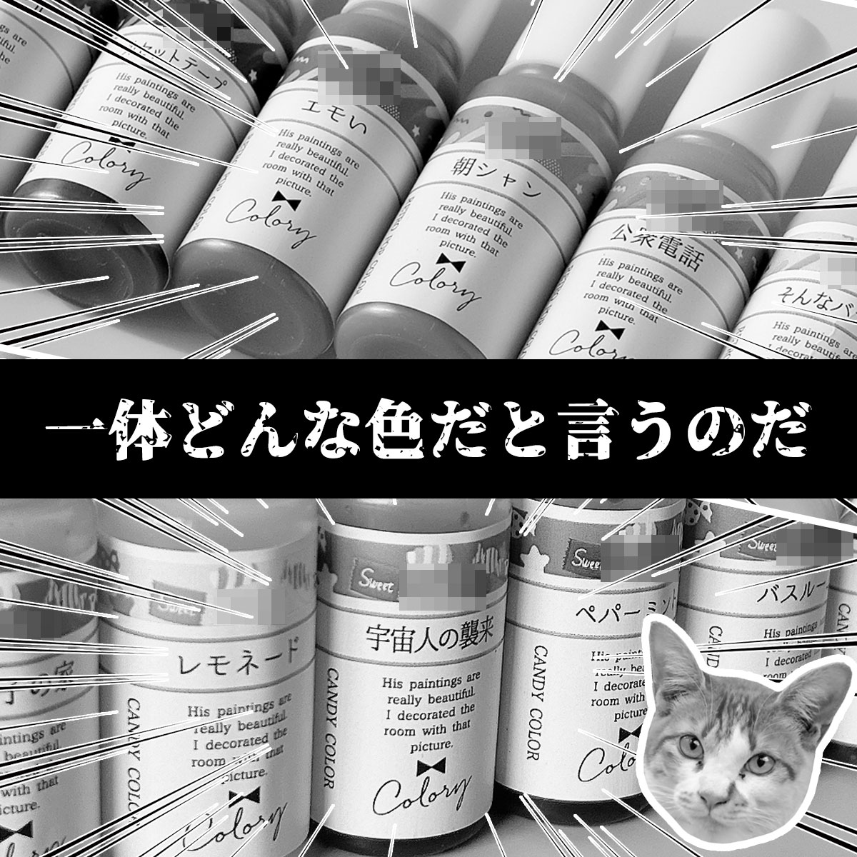 楽天市場】△☆【送料無料】2026謎福袋 オマケ付 年末 新春福袋 レジン