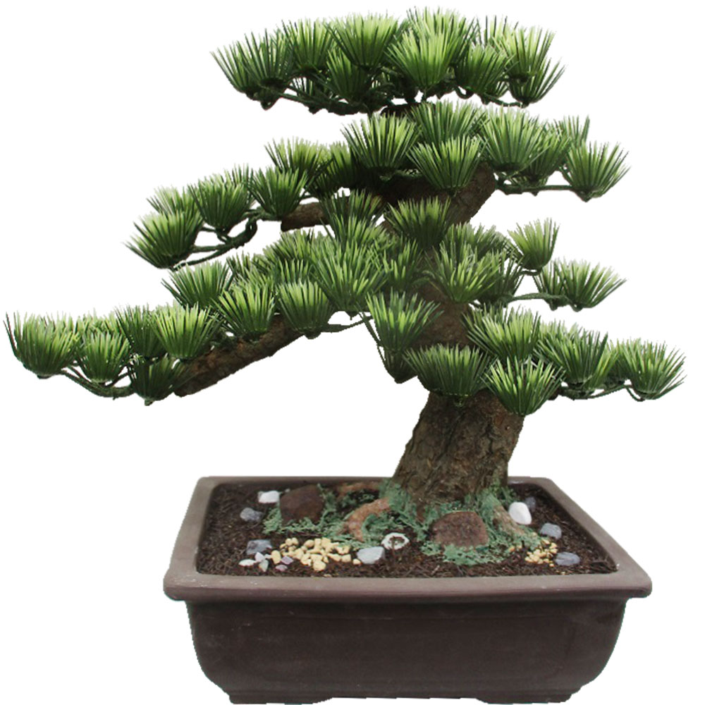楽天市場】盆栽 松 フェイクグリーン おしゃれ 人気 造花 リアル