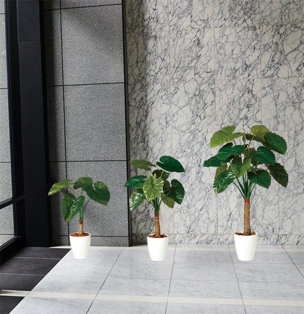 楽天市場】クワズイモ フェイクグリーン 人気 おしゃれ インテリア