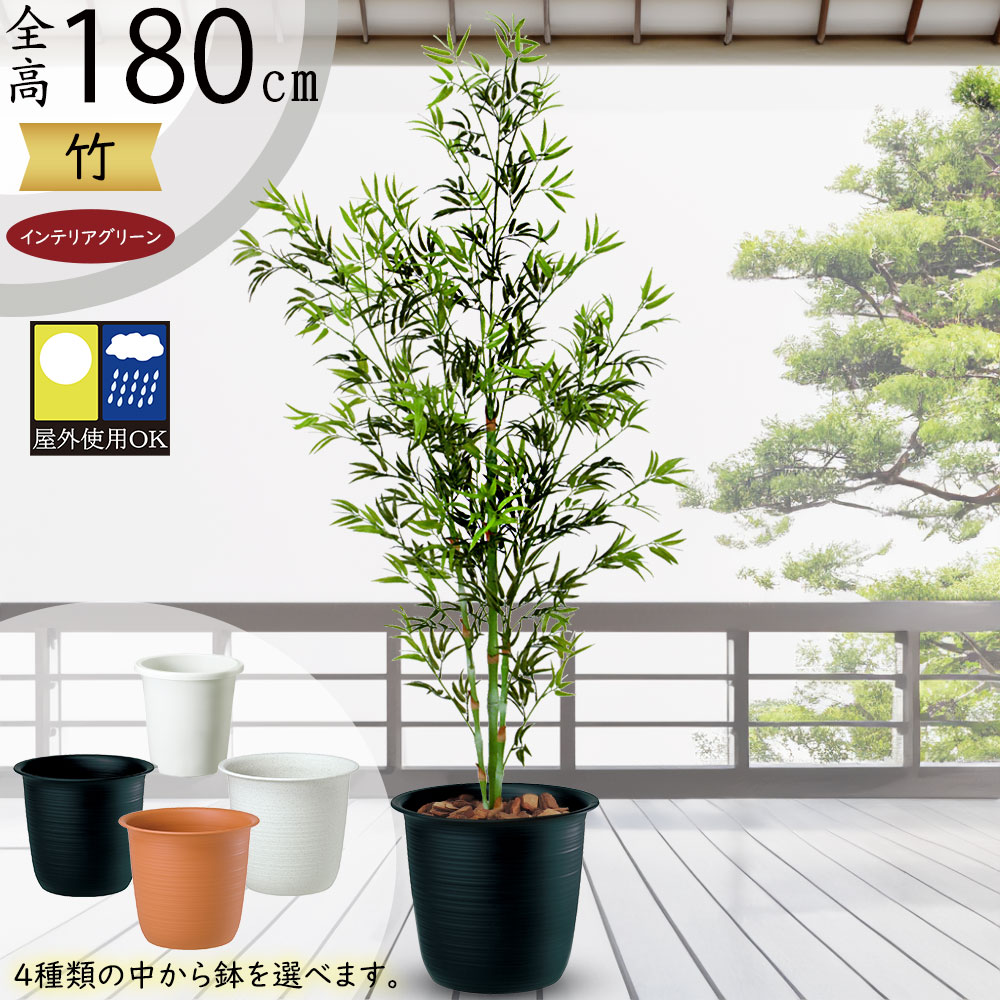 バンブー 観葉植物 おしゃれ」の人気商品一覧 | 安い商品を通販サイト
