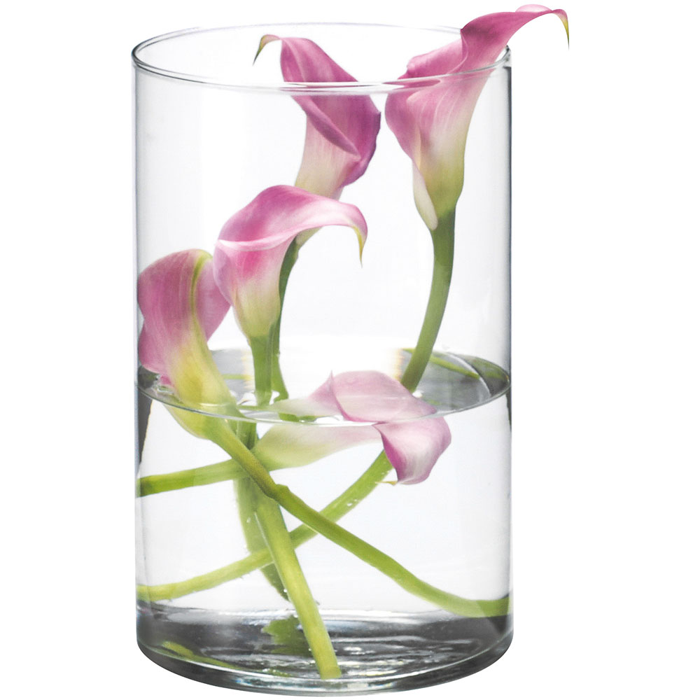 楽天市場】ガラス花瓶 おしゃれ 人気 フラワーベース 花器 花瓶 ガラス