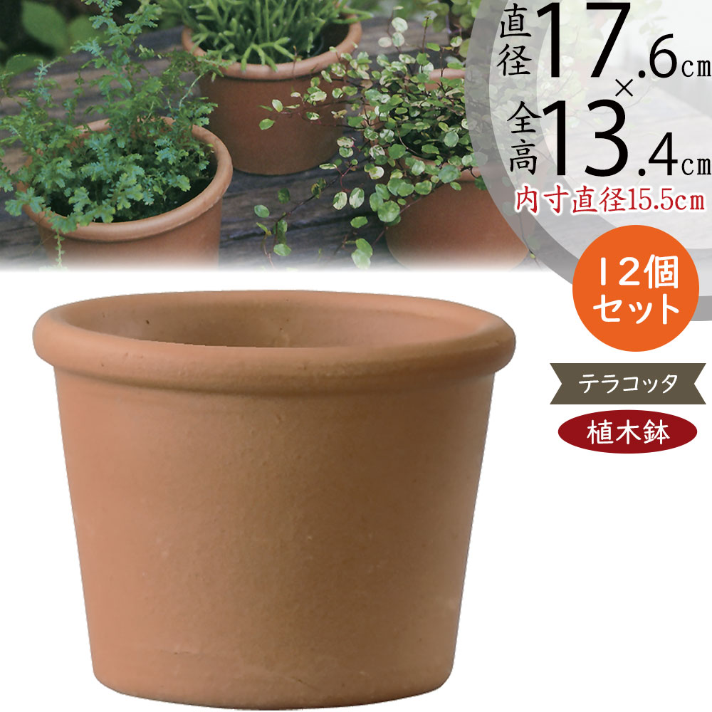 楽天市場】テラコッタ 植木鉢 小型 おしゃれ 人気 プランター おすすめ