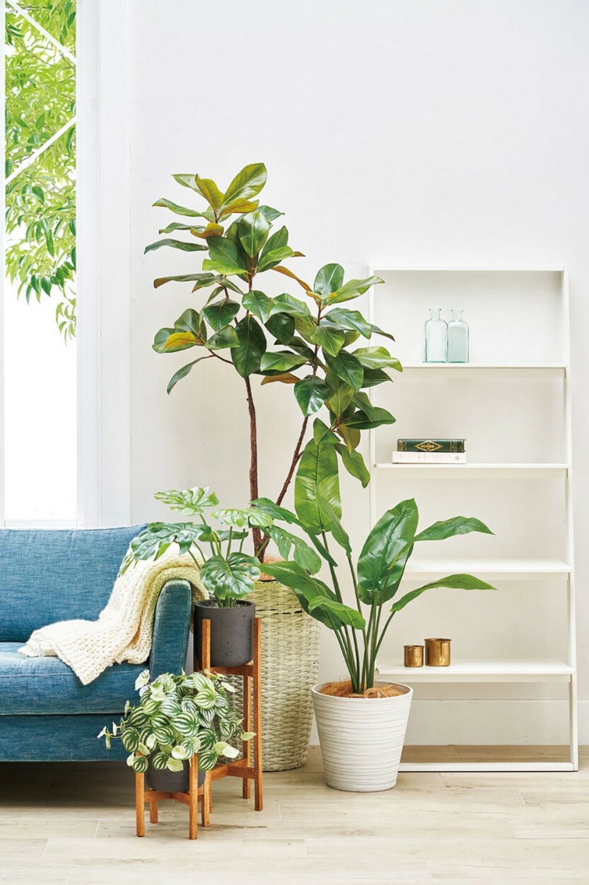 楽天市場】フェイクグリーン モンステラ おしゃれ 人気 おすすめ