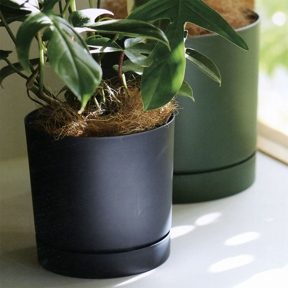 楽天市場】植木鉢 おしゃれ 受け皿付き 人気 おすすめ プランター