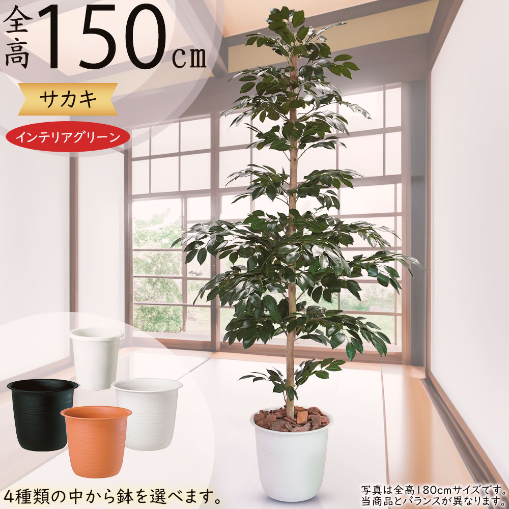 楽天市場】フェイクグリーン 大型 人気 リアル サカキ 榊 インテリア