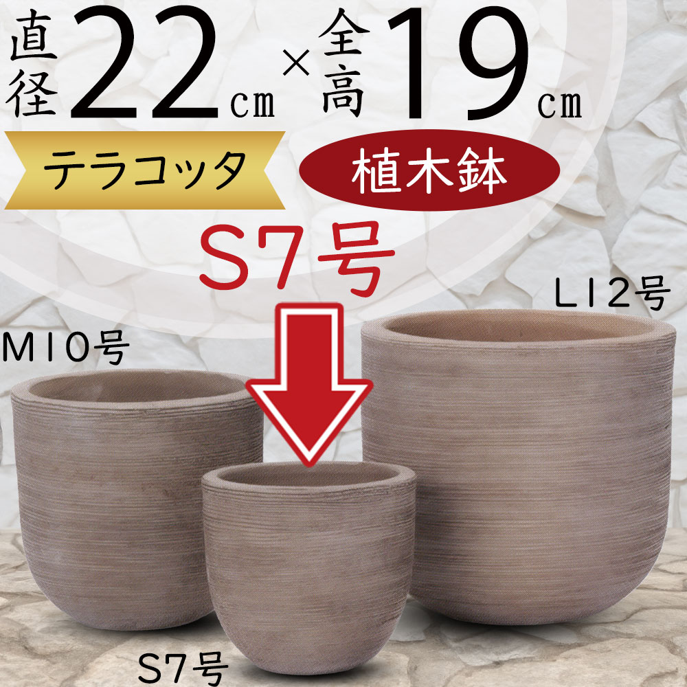 楽天市場】テラコッタ 植木鉢 おしゃれ 人気 プランター おすすめ 観葉