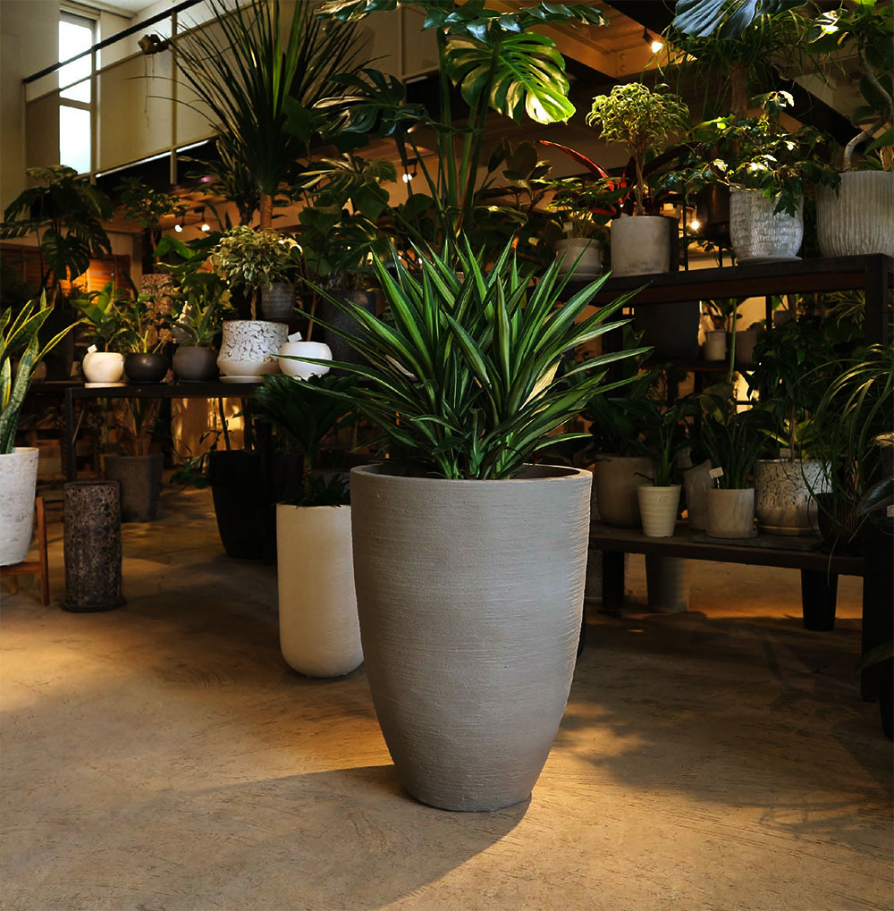 楽天市場】プランターカバー 鉢カバー 大型 人気 おしゃれ ポット 大鉢