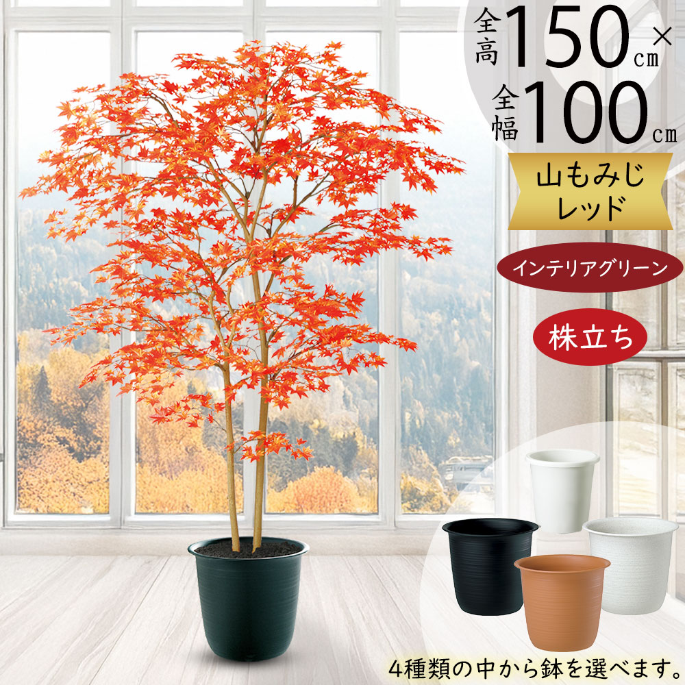 楽天市場】モミジ もみじ フェイクグリーン 大型 おしゃれ 人気 リアル