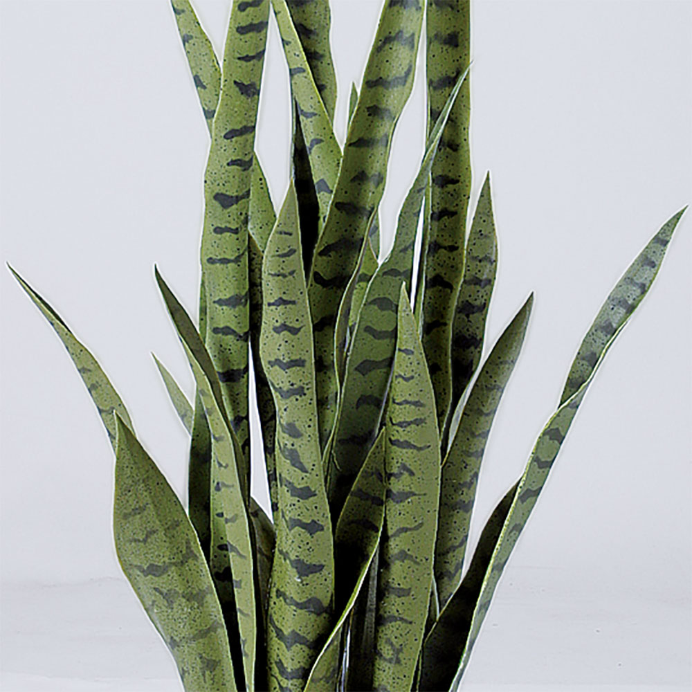 楽天市場】フェイクグリーン 多肉植物 サンセベリア サンスベリア