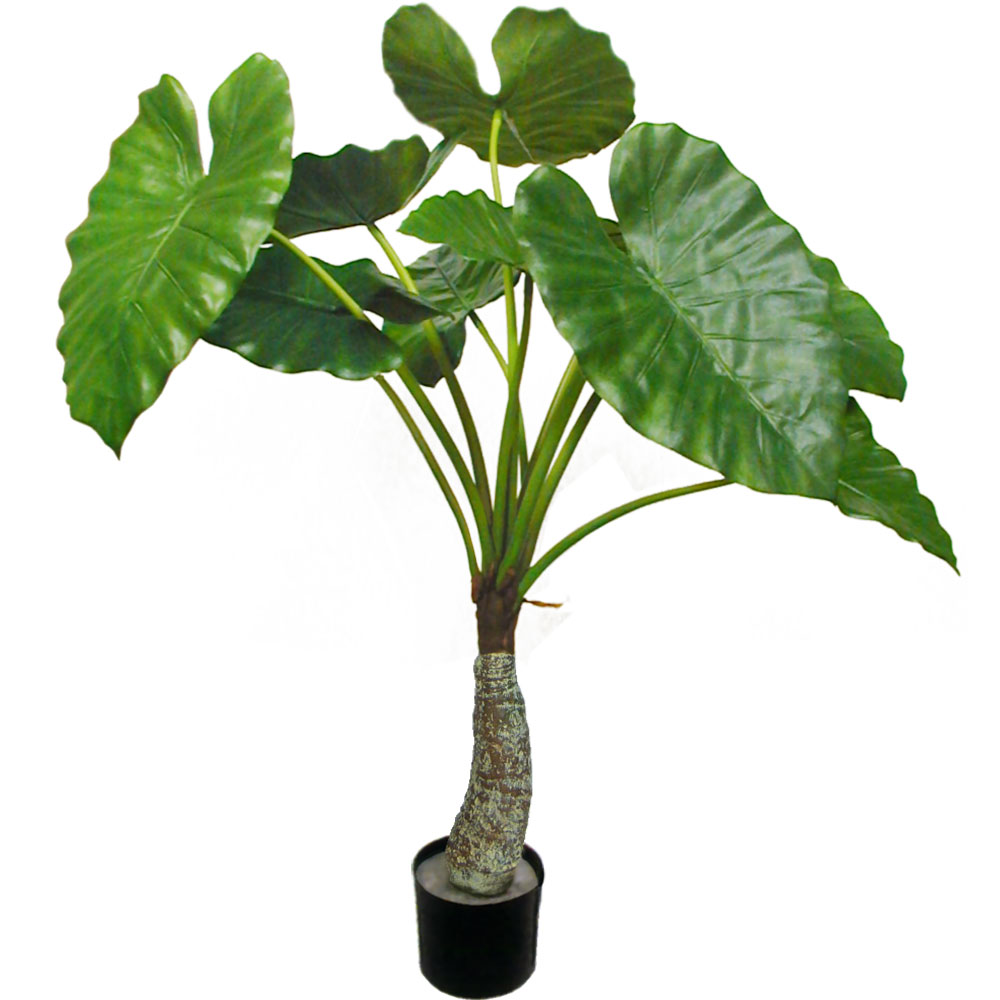 楽天市場】クワズイモ フェイクグリーン 人気 おしゃれ インテリア