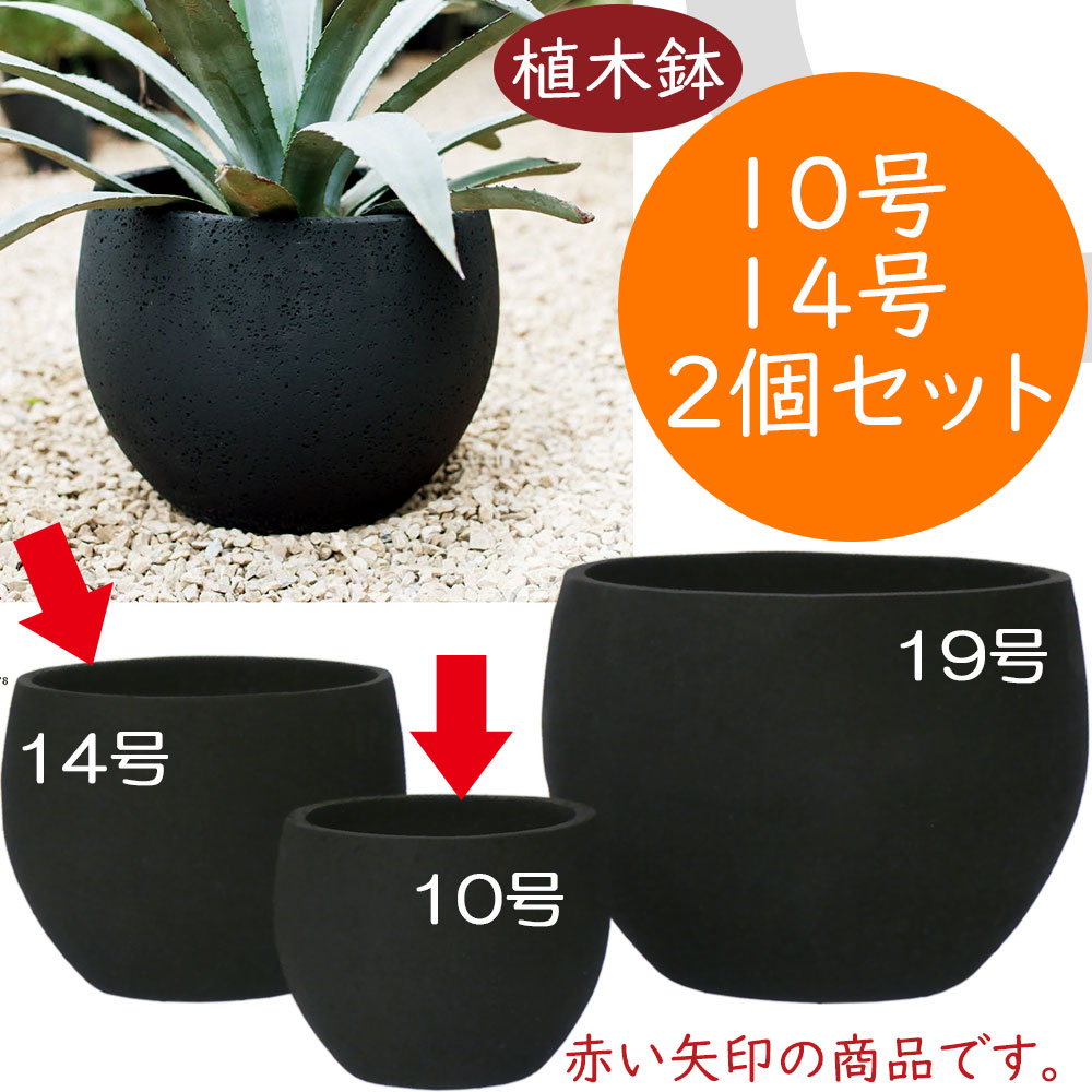 楽天市場】大型型植木鉢 黒の通販