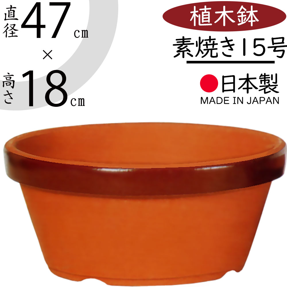 素焼き鉢 15号」の人気商品一覧 | 安い商品を通販サイトから探す