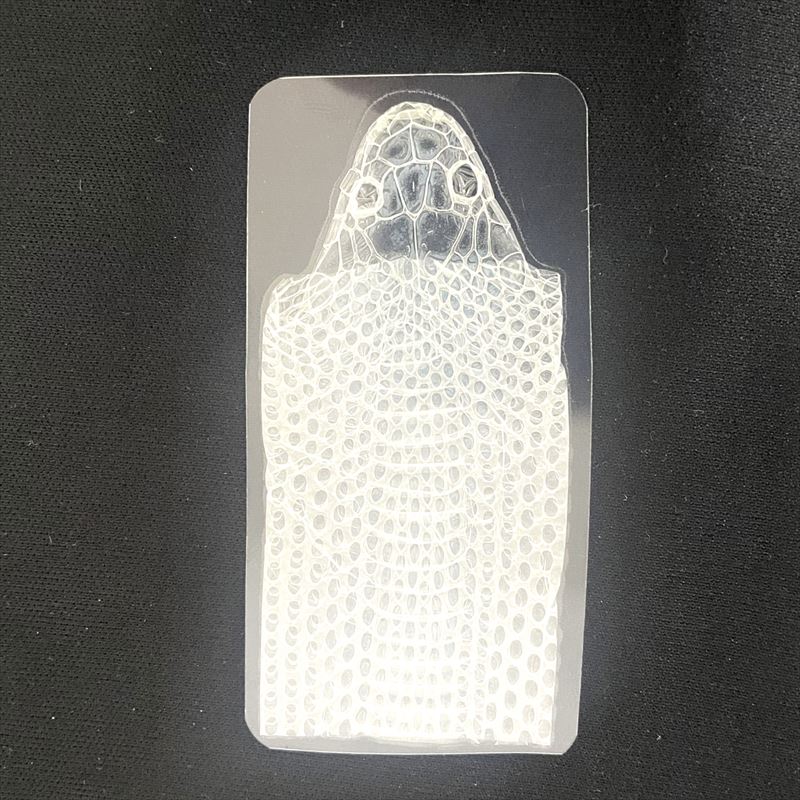 楽天市場】白蛇 抜け殻 白ヘビ ラミネート加工【開運】 抜殻 しろへび