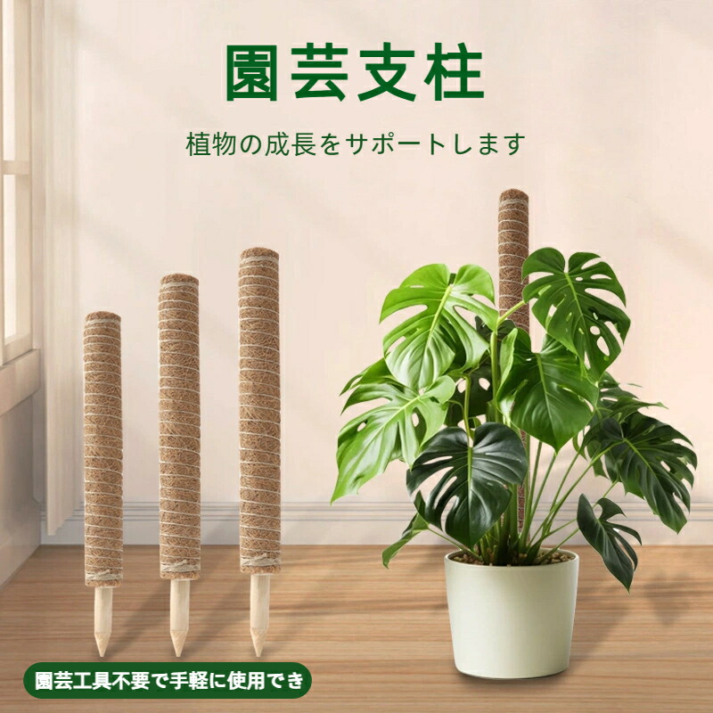 楽天市場】園芸支柱 モンステラ 支柱 モンステラ ココナッツ DIY曲げる