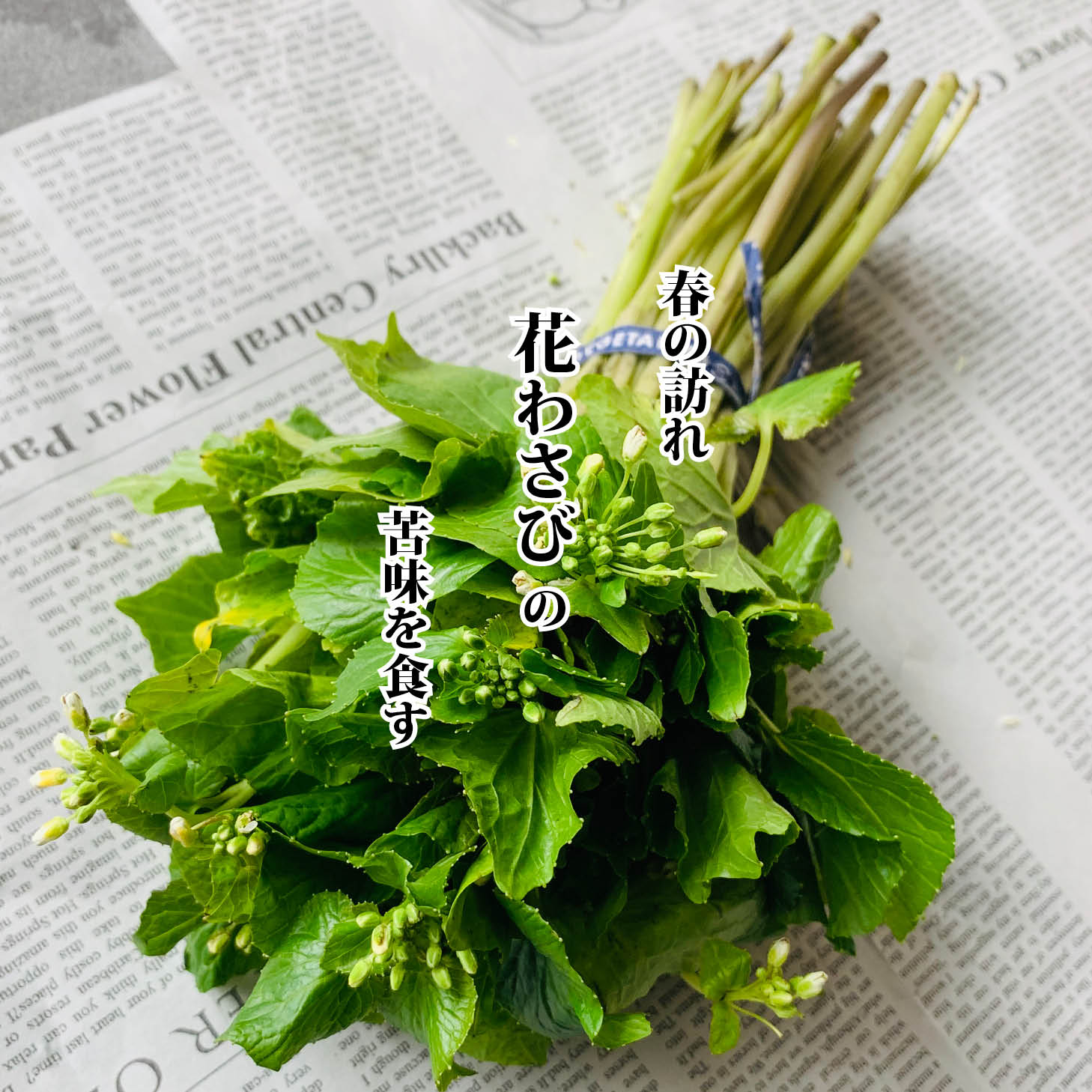 楽天市場】花わさび 1束（100g前後）【花山葵 花ワサビ お取り寄せ