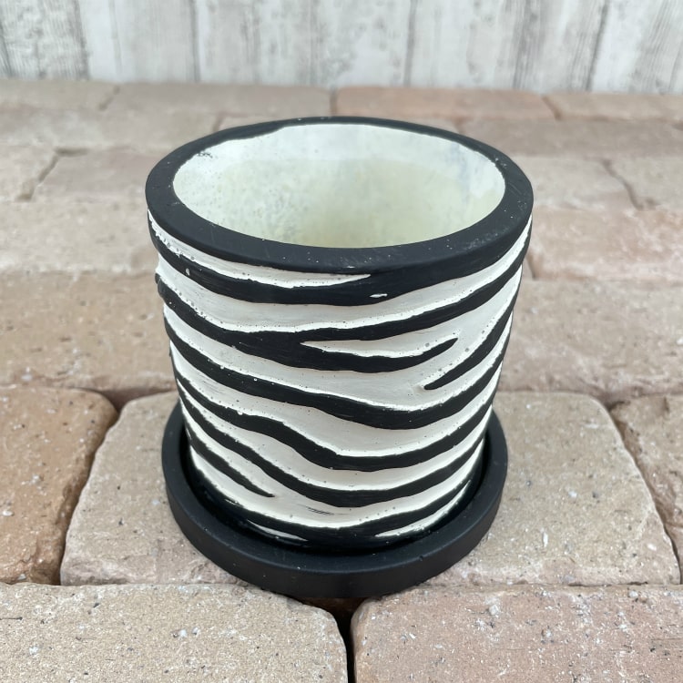 楽天市場】植木鉢 おしゃれ 珍しいゼブラ柄の植木鉢 UN467-100 3号