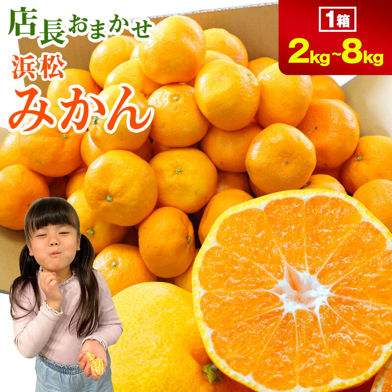 楽天市場】みかん 箱 3kgの通販