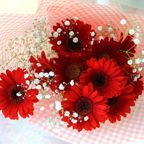 楽天市場】【 生花 】【 産地直送 】カラーと本数が選べる ガーベラ