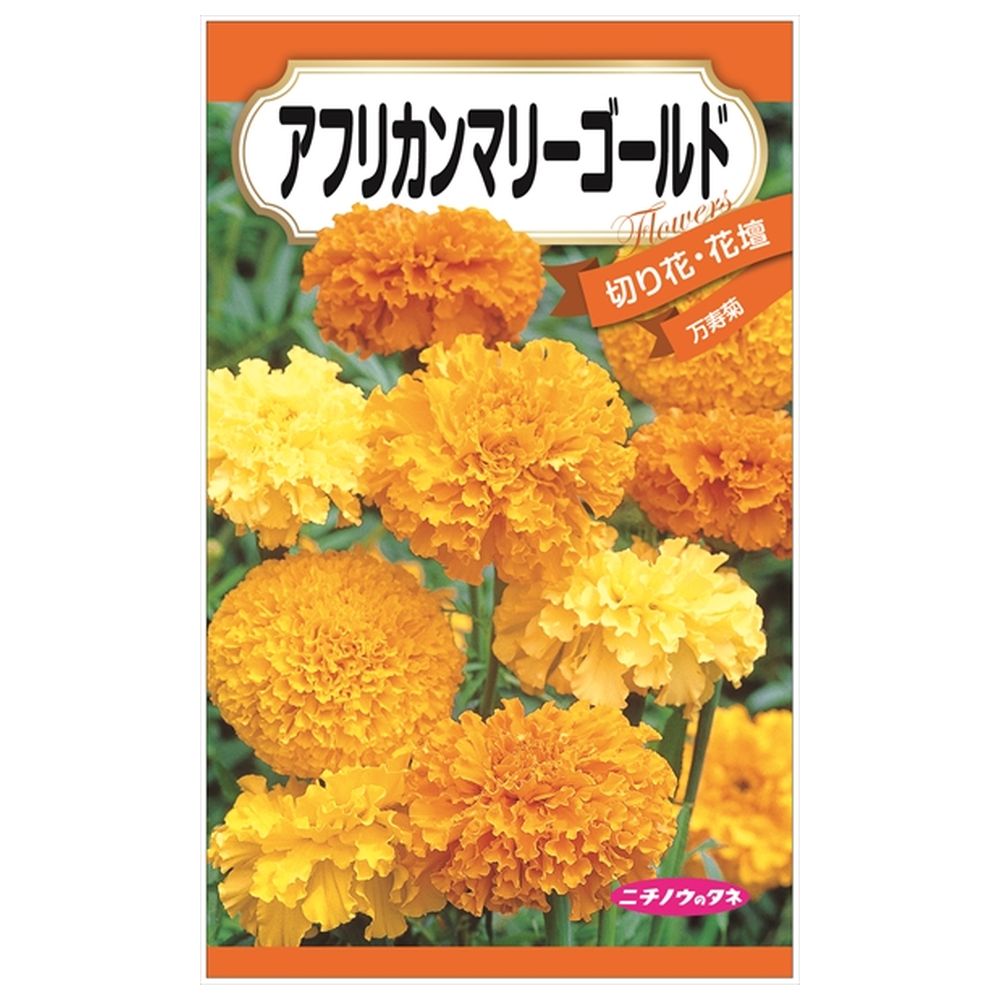 楽天市場】【アフリカンマリーゴールド】 種・小袋 （0.3g） 固定種