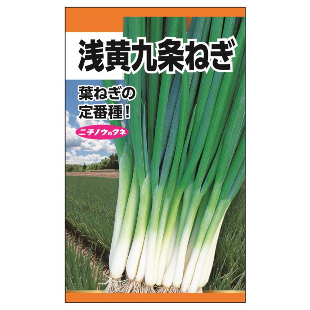 楽天市場】ねぎ 【九条ねぎ(浅黄)】 種・小袋 （7ml） 固定種 : 苗木部