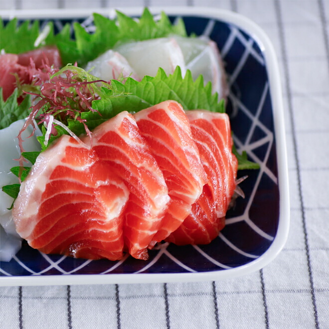 楽天市場】【クーポン配布中】エボトラ ブリック 長角 中皿 18cm×12.5