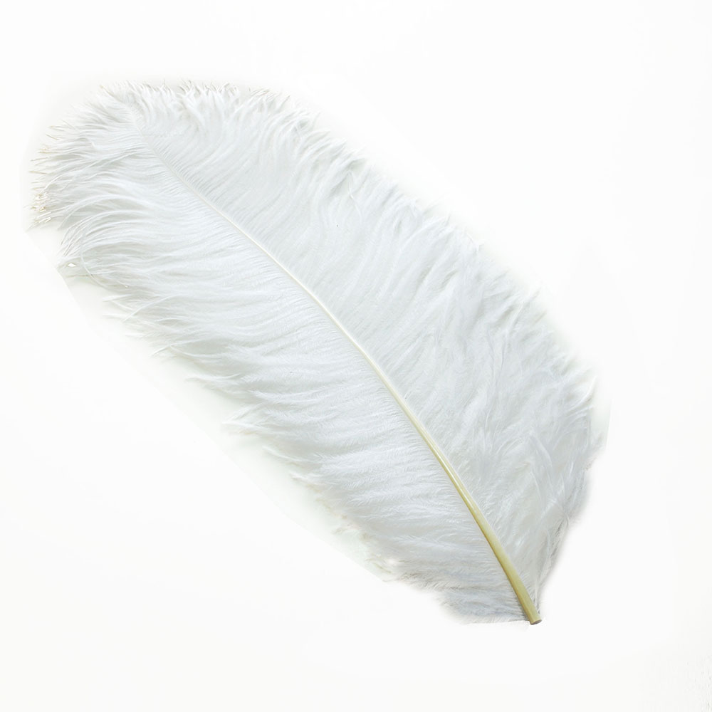 楽天市場】オーストリッチ45～55cm 羽根 （白） 【羽_インテリア_手芸_