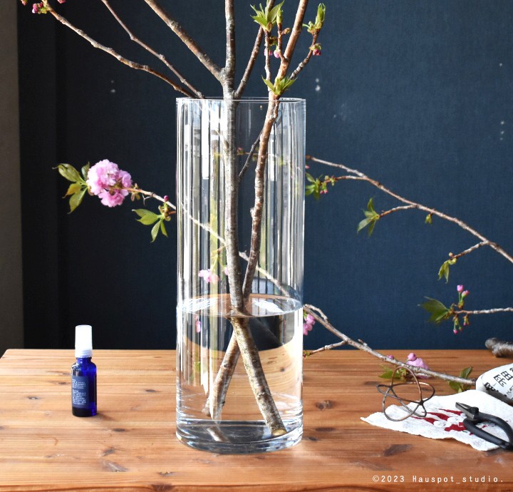 楽天市場】ガラスベース 枝物 円柱 丸型 シリンダーベース model 1540