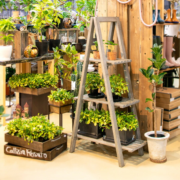 楽天市場】木製シェルフ ガーデニング ツリーシェルフ シャビーグレー