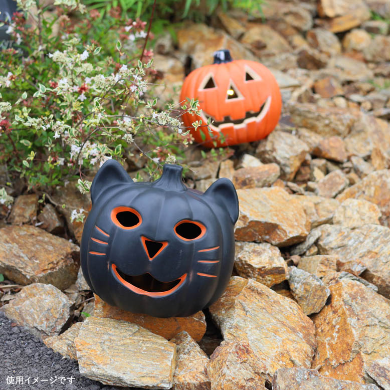 楽天市場】ハロウィン 飾り かぼちゃ ねこ 屋外 猫 ランタン ジャック
