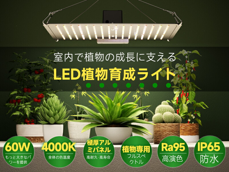 楽天市場】植物育成ライト LED植物育成灯 観葉植物 ライト 600W 256LED