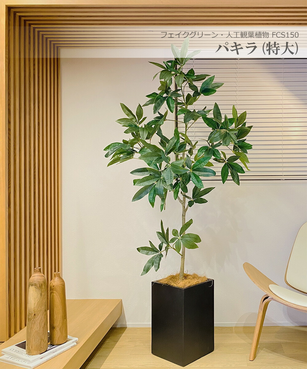楽天市場】パキラ 180cm 特大 人工観葉植物 フェイクグリーン 観葉植物