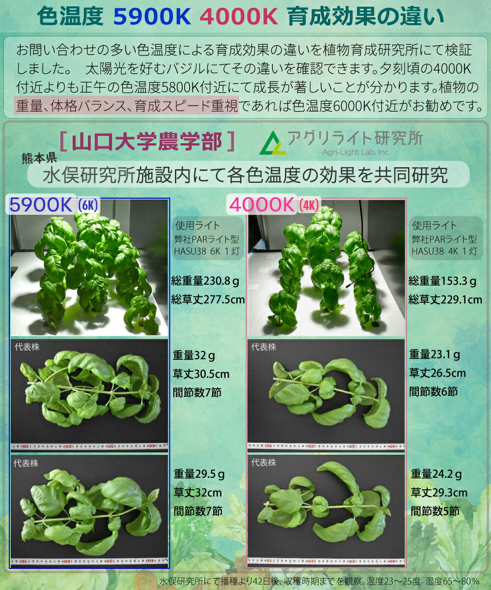 楽天市場】HaruDesign 植物育成ライト Light STAFF VA 4K McW 暖色系